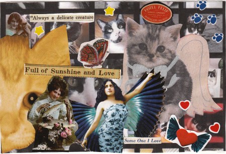 CatPostcard.CaitlinFarrington Full of Sunshine & Love Cat Postcard