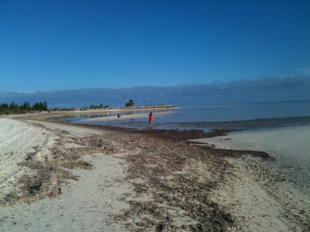 Kiddos.Explore.Sandbar