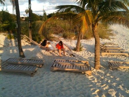 Ply.Hammock2