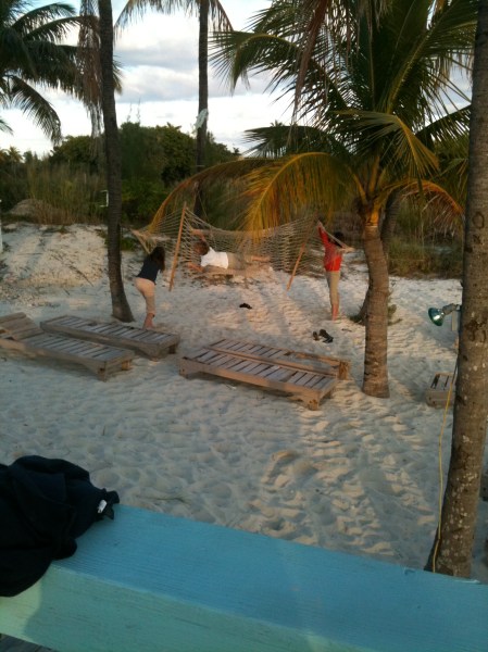 SwingingDyl.12.8.10