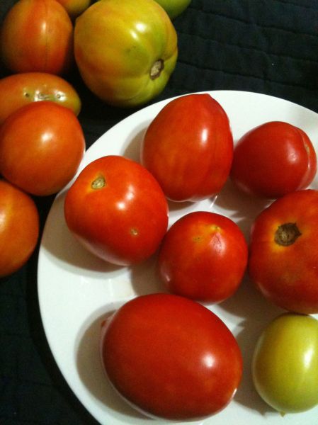 Homegrown.Tomatoes.3.2012