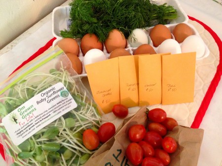 Organic.Goodies.A.4.28.13