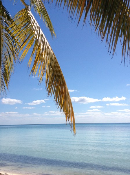 Banana.Bay.1.25.2015